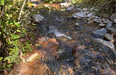 Cozy Cabin on the Creek - Foto 39