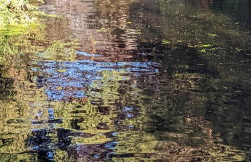 Tulana Taggs - floating home on idyllic island - Foto 39