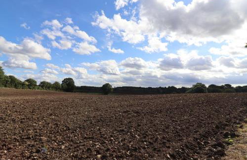 Wayside Cottage - Foto 35