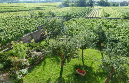 Domaine du Bouxhof - Foto 10