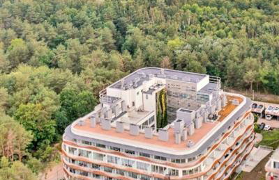 Lividus Czarna Mewa - Foto 14