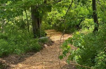 Murphys Law Inn 4 - Foto 18