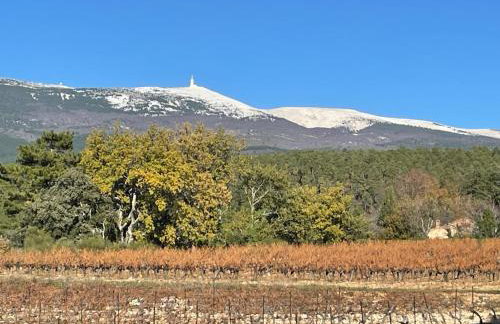 KM2 - Foto 3