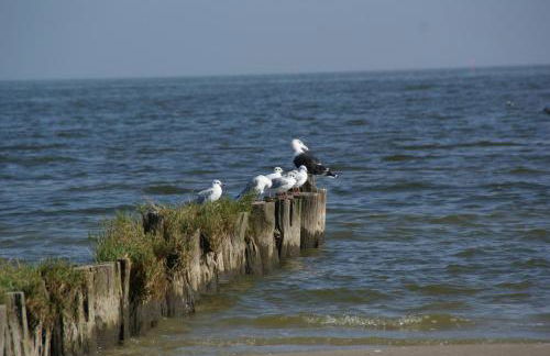 Ferienhaus "Strandgut" - Foto 46