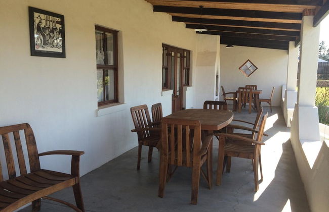 Endless Vineyards at Wildekrans Wine Estate - Photo 15