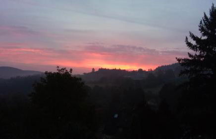 Ferienwohnung Brillant am Nationalpark Hunsrück-Hochwald - Foto 43
