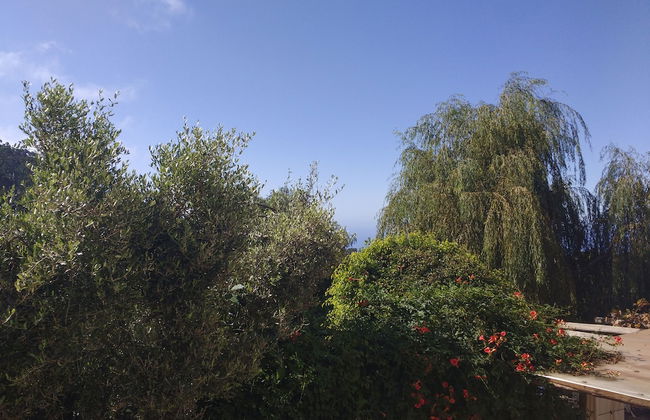 Casas Maravilha Calheta - Photo 28