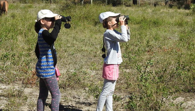 Birdwatching at the San Rafael Estate - Foto 5