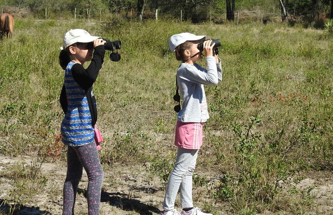 Birdwatching at the San Rafael Estate - Foto 5