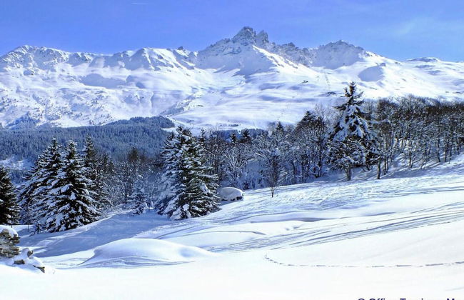 Cosy Chalet in Village of Les Allues - Foto 13