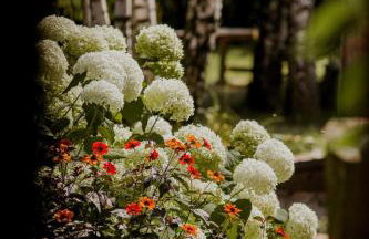 Drewniana Osada - Foto 5