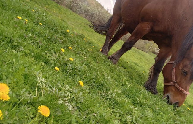 Room in Guest Room - Healthy Retreat Holiday in Mountain - Foto 55