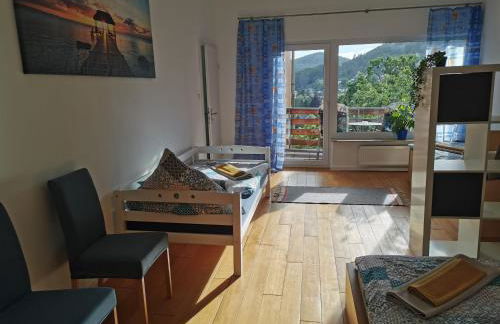 Apartments in Biedenkopf - Foto 21