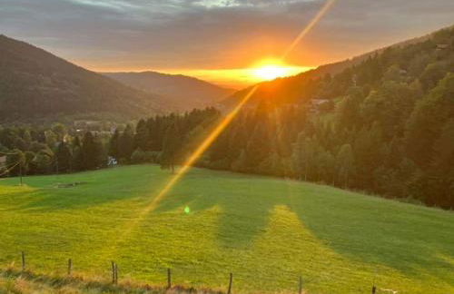 La Ferme du Panorama et Spa - Foto 2