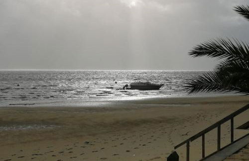 Entre dune et plage Les Jacquets Cap Ferret - Foto 19