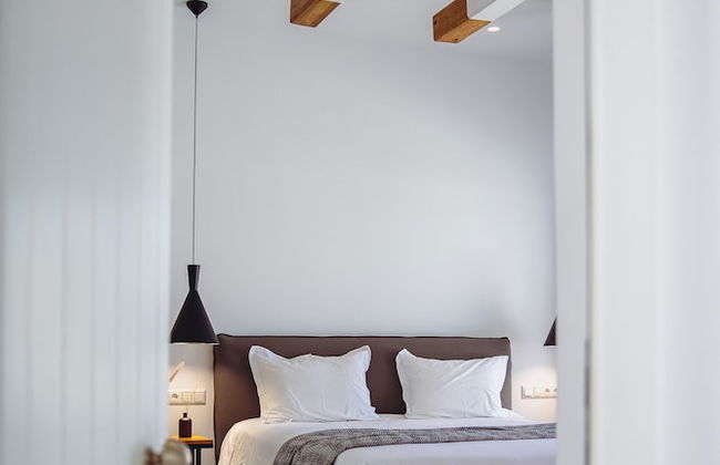 Naxos Boutique Private Villas - Foto 10