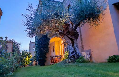 Domu Cannuja - Foto 7