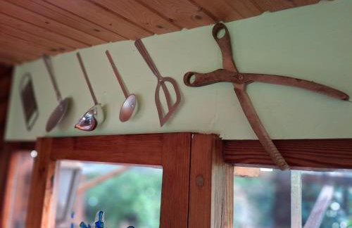 Waldidylle - Bungalows an der Talsperre Kriebstein - Foto 24