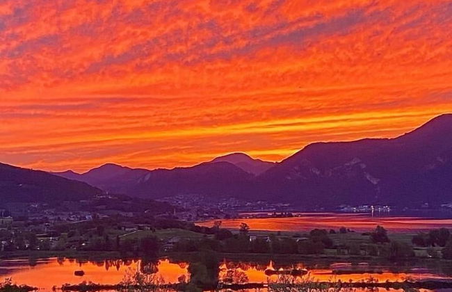 AGRITURISMO FOREST B&B - Foto 38