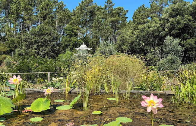 Charming Garden Retreat in Pedrogao Grande - Foto 31