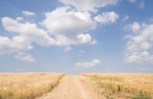 Stunning 2 Bed Cottage in Fordwells - Foto 30