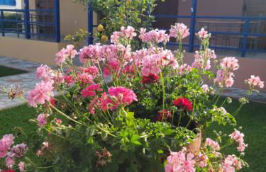 John & Jenny's Small Village - Foto 43