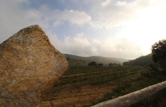 Masia Heredad La Boquilla - Foto 26