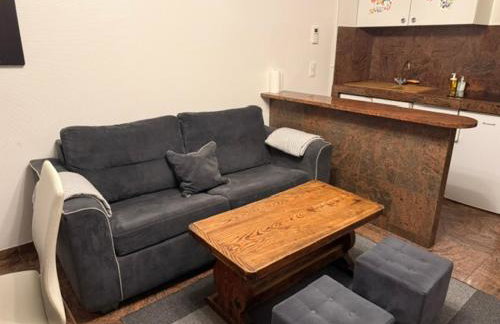 Bartholomé LE MAGNIFIQUE - Foto 44