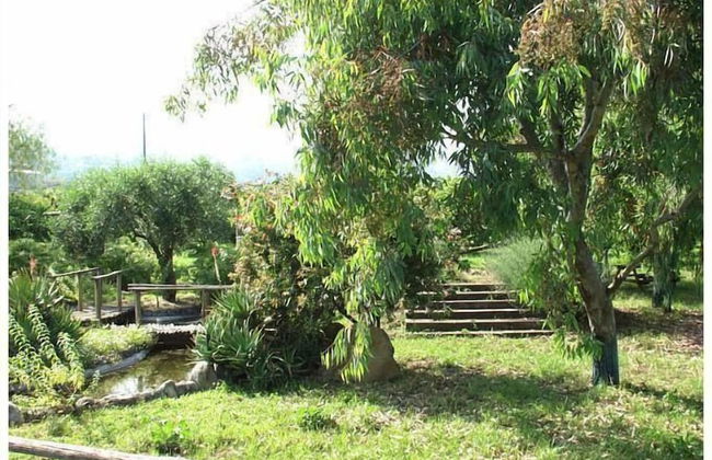 Codavolpe Giardino di Tea - Foto 26