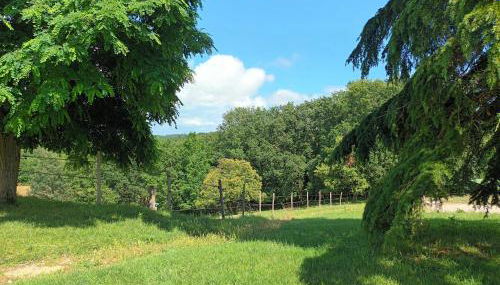 Aux 40 Écus - Biloba - Foto 2