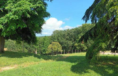 Aux 40 Écus - Biloba - Foto 2