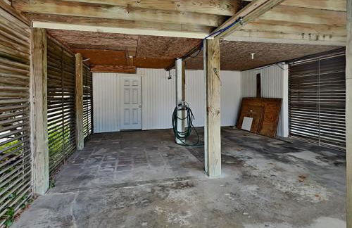 The Sassy Sea Turtle - Foto 42