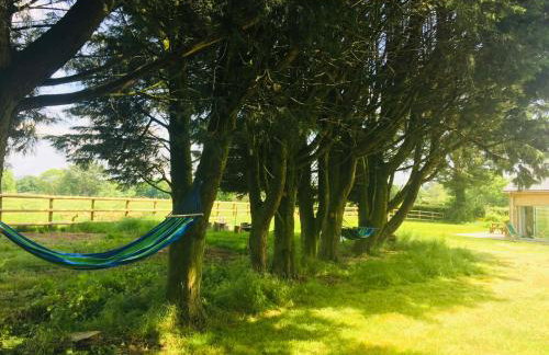 Deer Den timber clad cabin with hot tub, up private lane - Photo 22