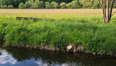 Apartment auf dem Hof einer historischen Mühle - Foto 5
