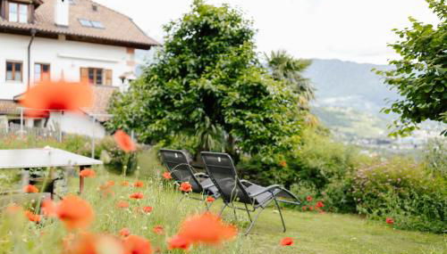 Hofer am Bach - Foto 3, Garden