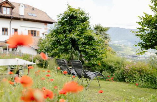 Hofer am Bach - Foto 3