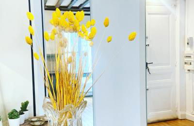 Electra mini-studio - Foto 21