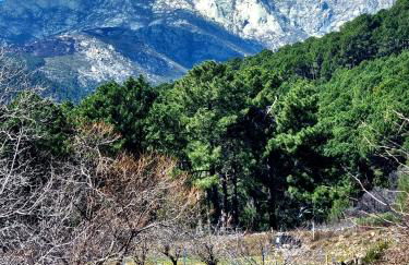 ALBAREÍLLA by #cherrygredos - Photo 18