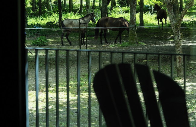 Furnas Lake Forest Living - Foto 44