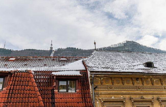 Colins Place - Photo 28