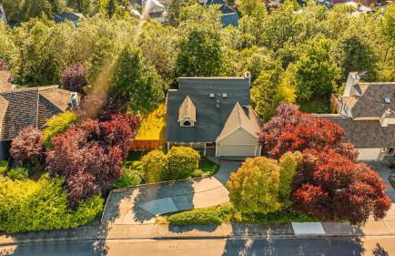 Bodur's Rustling Leaves, with BBQ, Fresh Air & Privacy - Foto 31