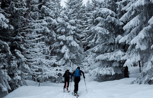 Vildmarks Lodge - Photo 28