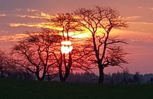 Frankenwaldhaus Comfortable Holiday Residence - Foto 25