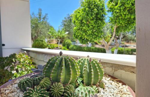 Villa Tapia - Foto 30