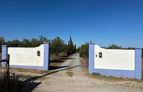 Courela do Monte Novo - Photo 17