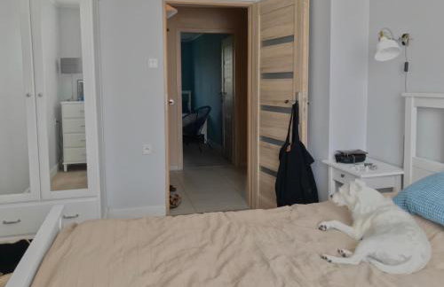 Oficyna Winiarza - Foto 3