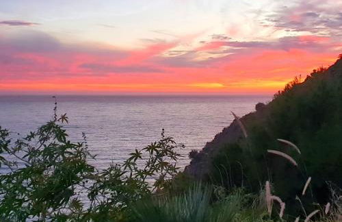 Villa Jaz - Photo 95