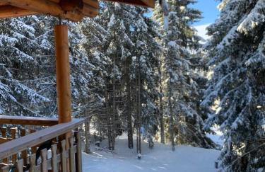 Chalet bois 45M2 - Foto 11