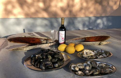 Robinson Dora - Foto 55