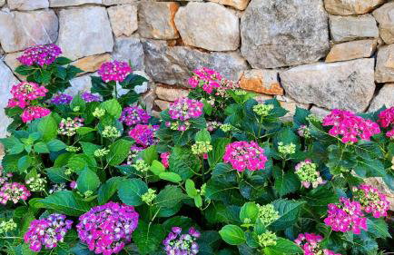 Sea-esta 2 - Foto 39